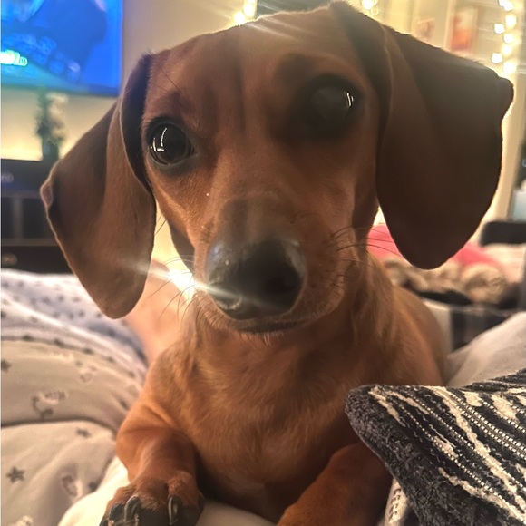 abbyokie